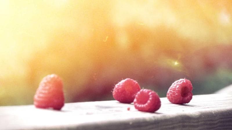 Bahaya Pembersih Kimia bagi Kesehatan Anak